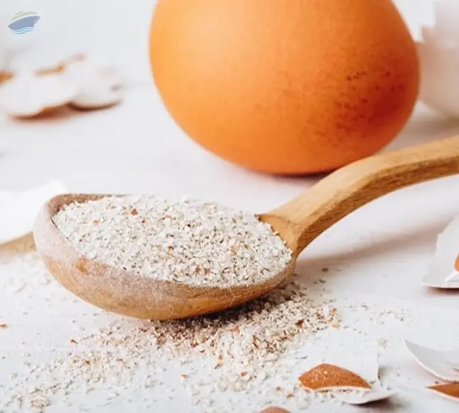 egg shell powder
