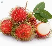 Rambutan