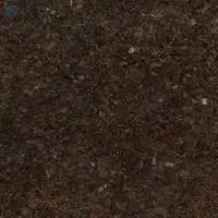 Coffee Brown