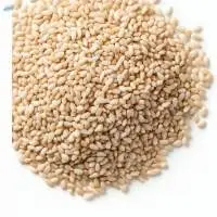 Premium Hulled White Sesame Seeds