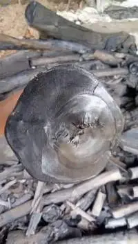 Halaban Wood Charcoal