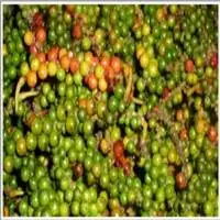 Fresh Green Peppercorns