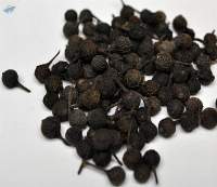 Comet Tail Pepper