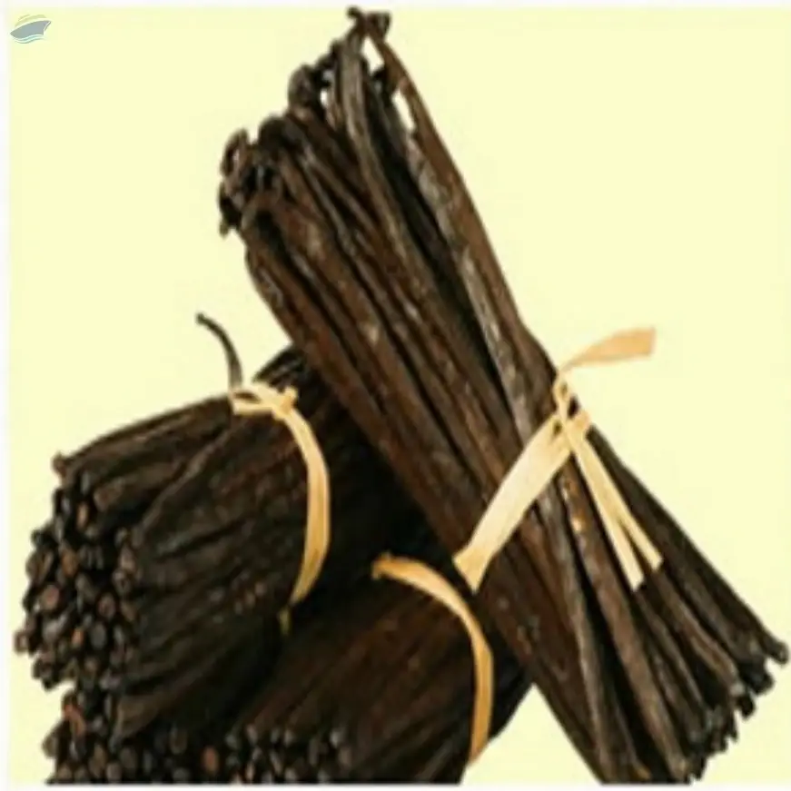 Vanilla