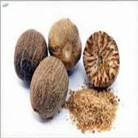 Nutmeg