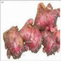 Red Ginger