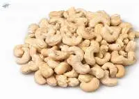 Cashew Nut