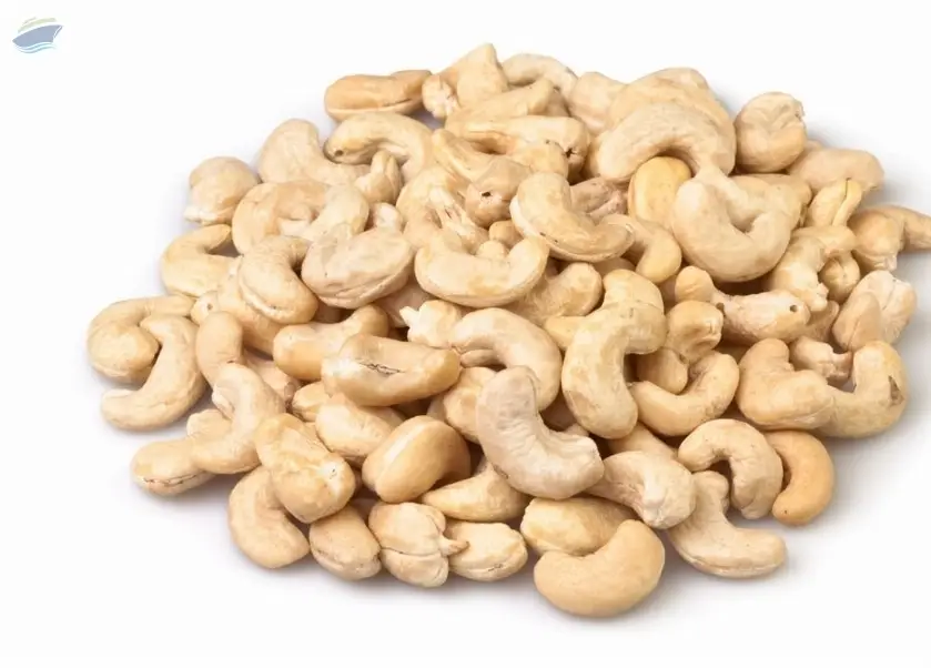 Cashew Nut