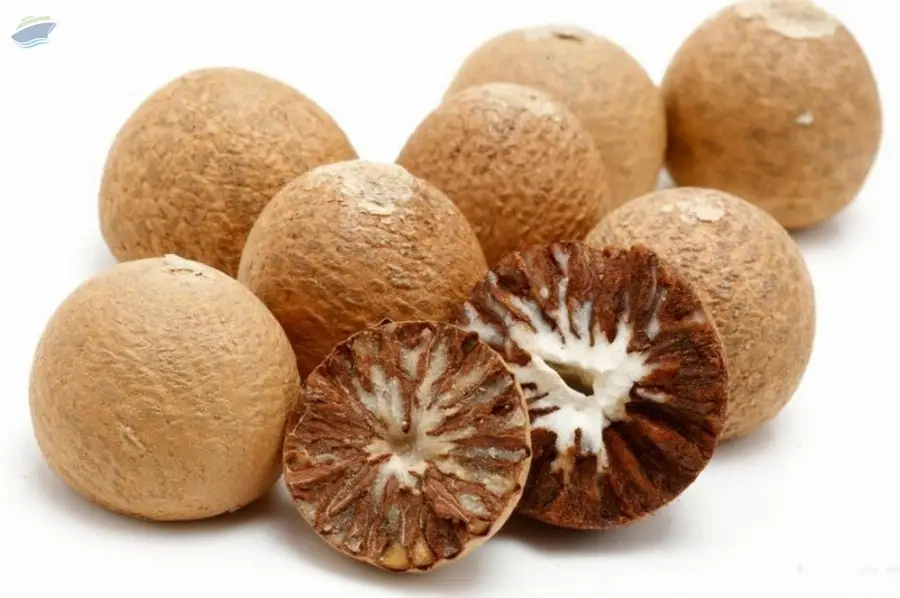 Betel (Areca) Nut
