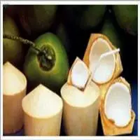 Coconut Water