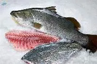 Fish & Seafood Products