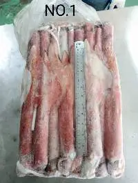 Frozen Squid