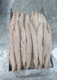 Precooked Tuna Fish