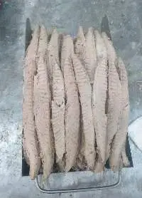 Precooked Tuna Fish
