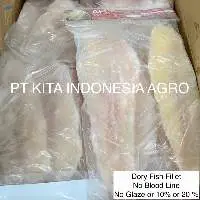 Fish Dory Fillet