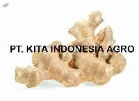 Ginger / Fresh Ginger