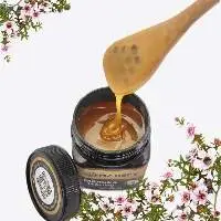 Wholesale 100% Manuka Honey UMF 15+ 250g