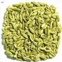 Fennel
