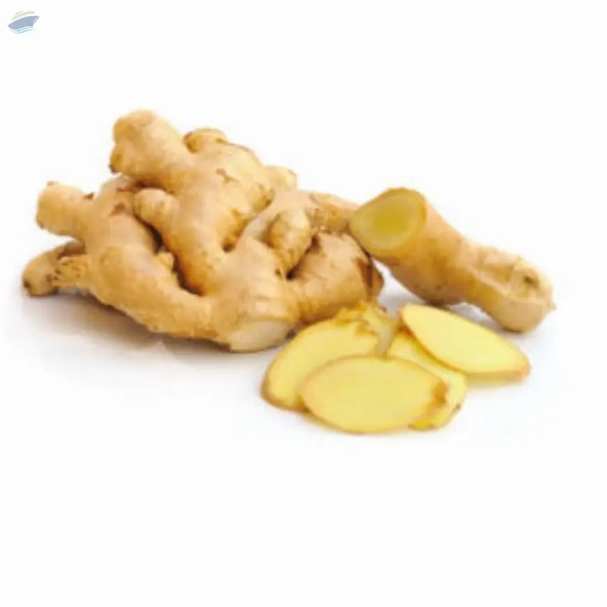 Ginger
