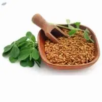 Fenugreek