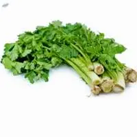 Celery