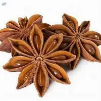 Aniseed