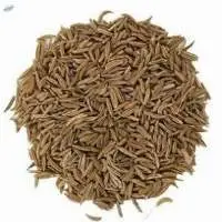 Caraway