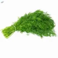 Dill