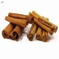 Cassia