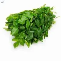Dill