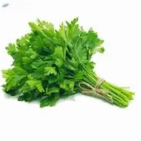 Parsley