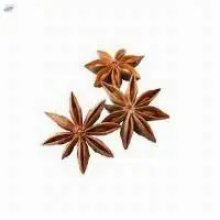 Star Anise