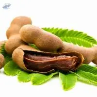 Tamarind