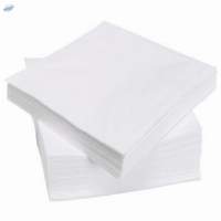 Paper Napkin