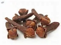 Clove