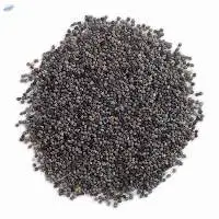Marjoram