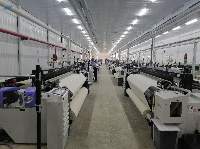 Cotton Plain Woven Fabric