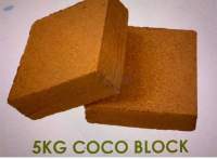 Coco Bricks