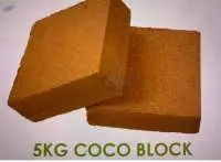 Coco Bricks