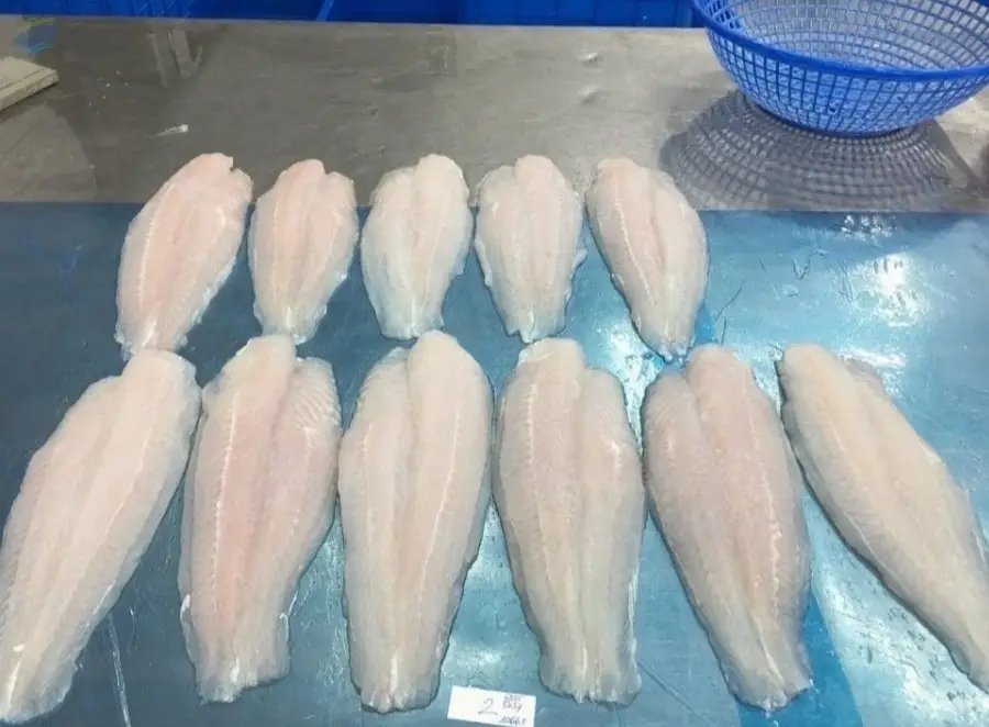 Basa Fish (Pangasius bocourti)