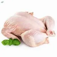 Chicken (Whole)