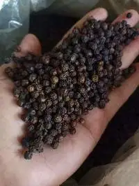 Black Pepper