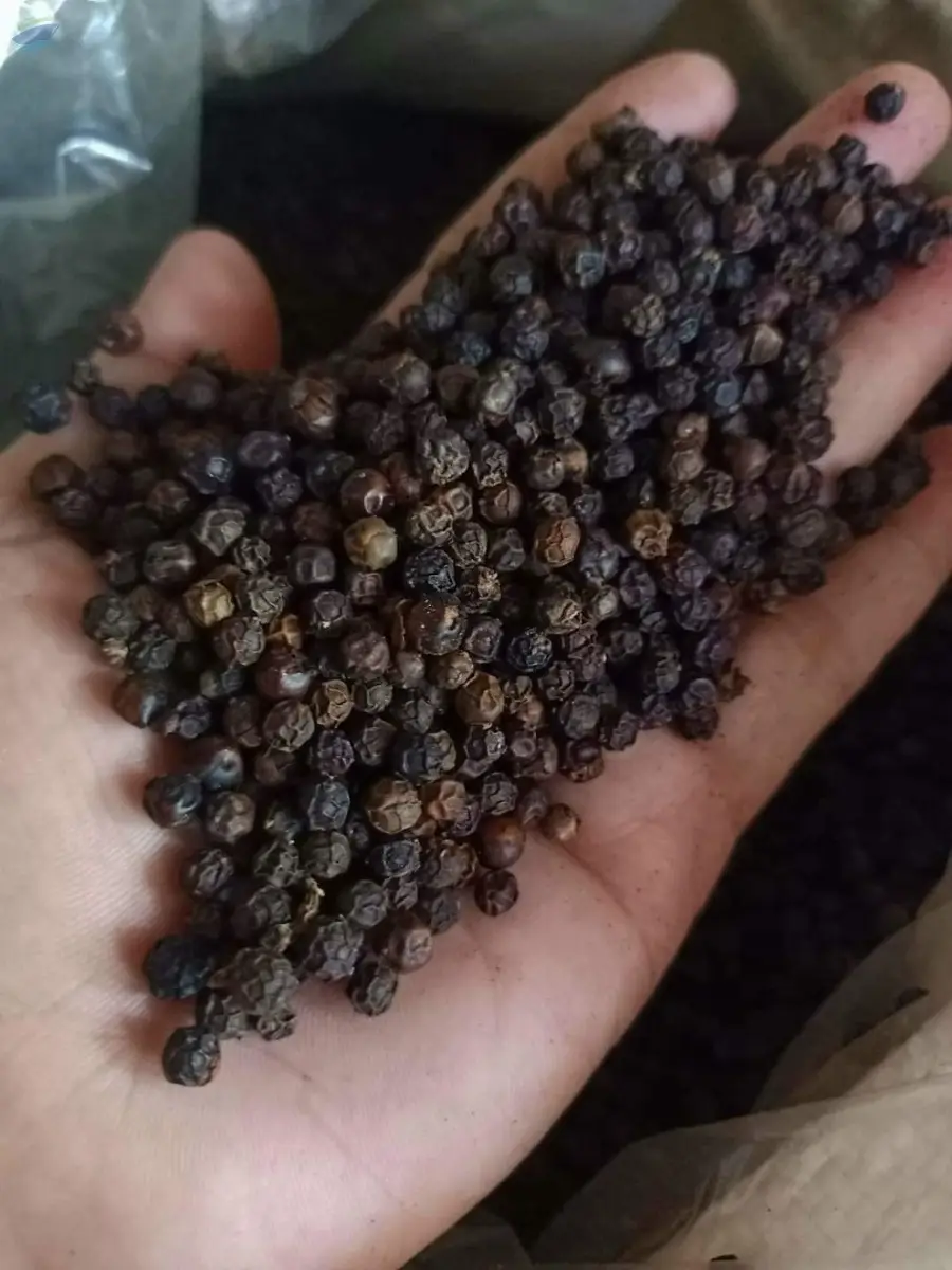 Black Pepper
