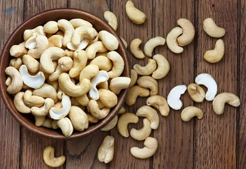 Cashew Nut