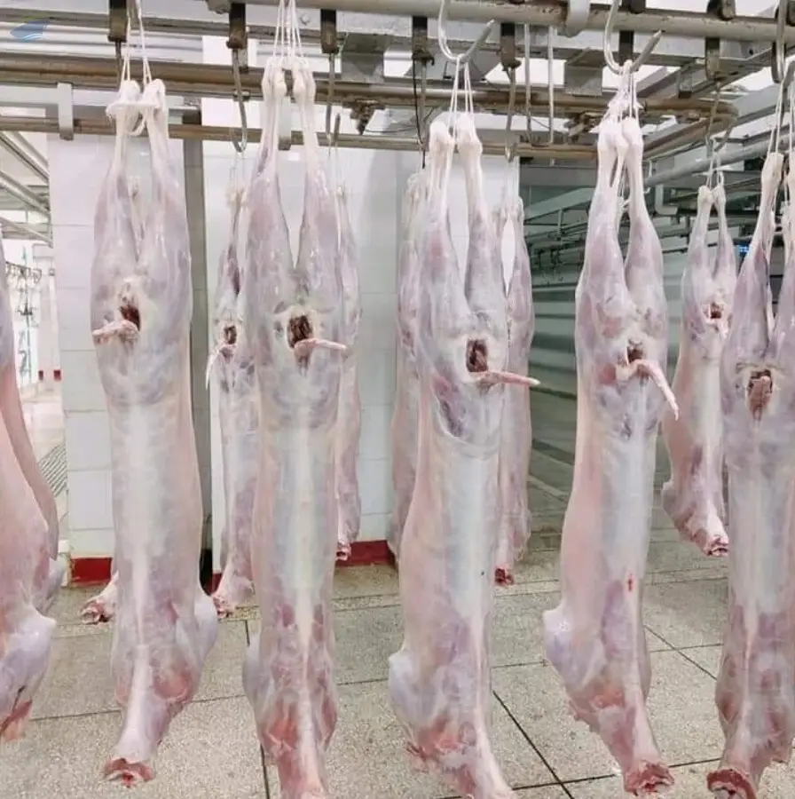 Mutton