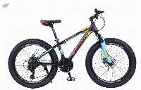 Famous DX 3.0 24 Hi-Ten Steel 21 Speed Bike