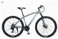 Inspire DX 29ER HI-Ten Steel 21 Speed Bike