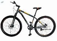 Destiny DX 29 ER With MLO Fork Bike
