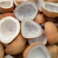 White Regular Copra and Edible Copra