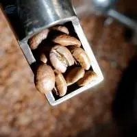 Roasted Coffee Bean Arabica